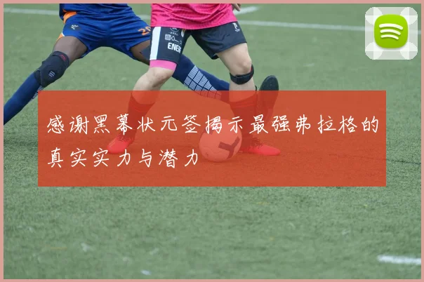 感谢黑幕状元签揭示最强弗拉格的真实实力与潜力