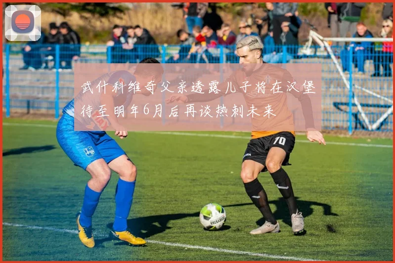 武什科维奇父亲透露儿子将在汉堡待至明年6月后再谈热刺未来