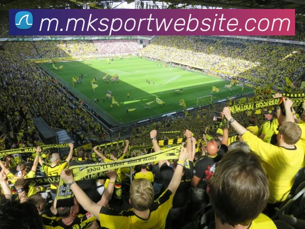 MK体育平台生态图