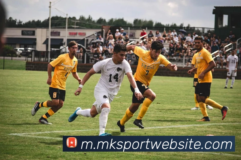 MK体育APP 封面图